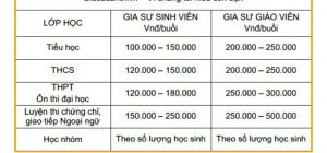 Bảng giá gia sư tại Bình Định
